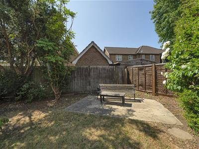 Picture 21